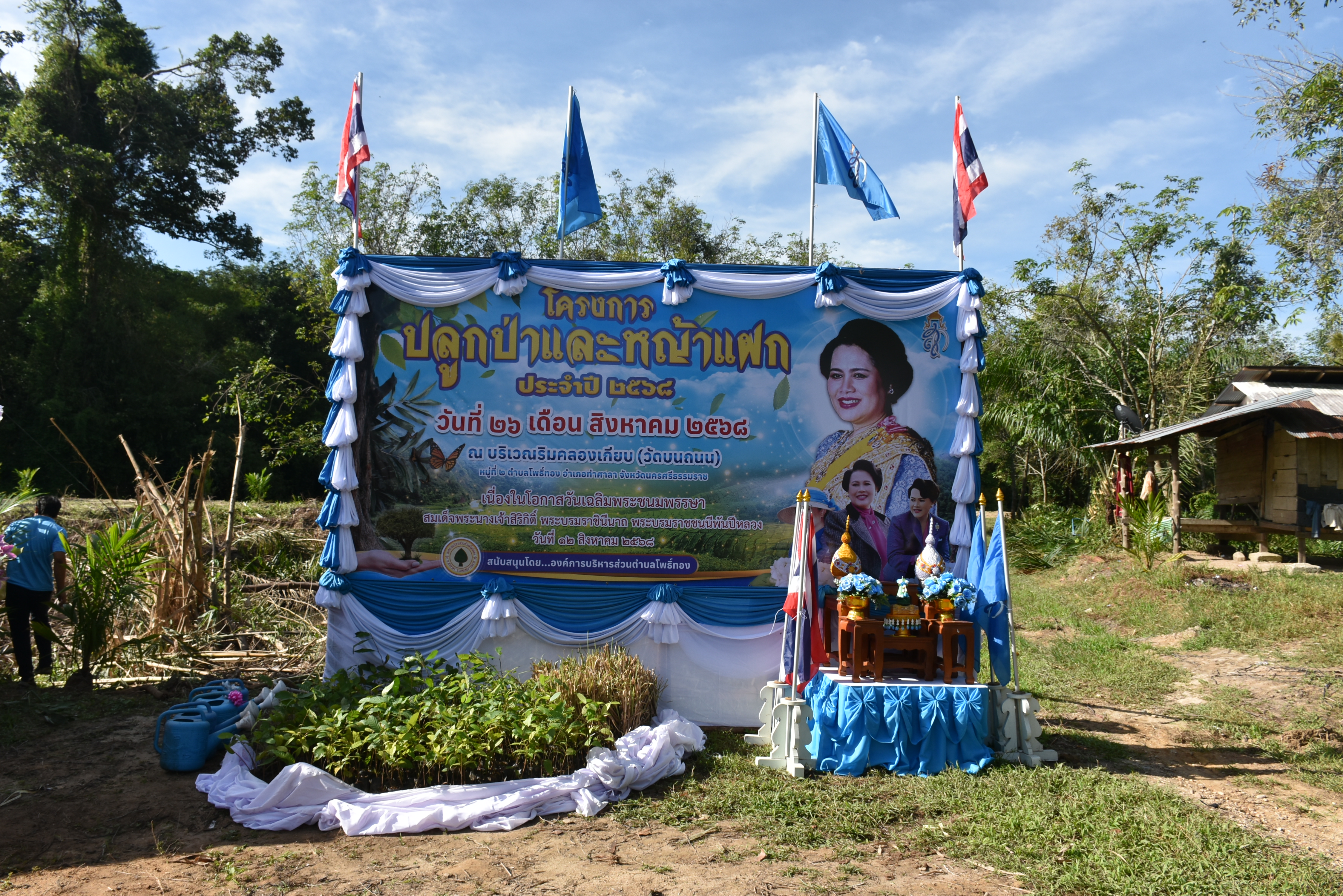 โครงการปลูกป่าและหญ้าแฝก ประจำปี 2568   
เนื่องในโอกาสวันเฉลิมพระชนมพรรษา สมเด็จพระนางเจ้าสิริกิติ์ พระบรมราชินรนาถ พระบรมราชชนนีพันปีหลวง 12 สิงหาคม 2568