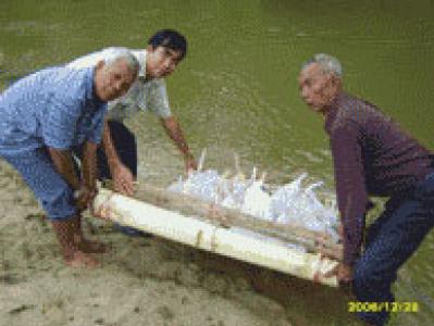 ประเพณีทำบุญลอยแพประจำปี