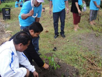 โครงการปลูกป่าและหญ้าแฝกอนุรักษ์ ดิน น้ำ ธรรมชาติและสิ่งแวดล้อม